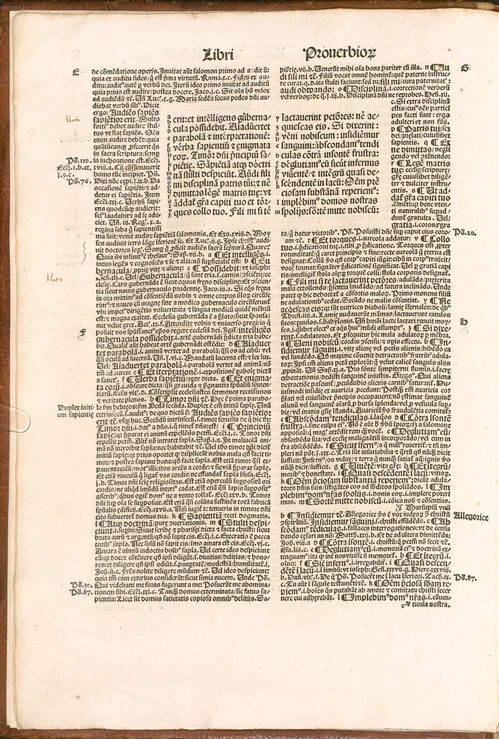 Image 00010