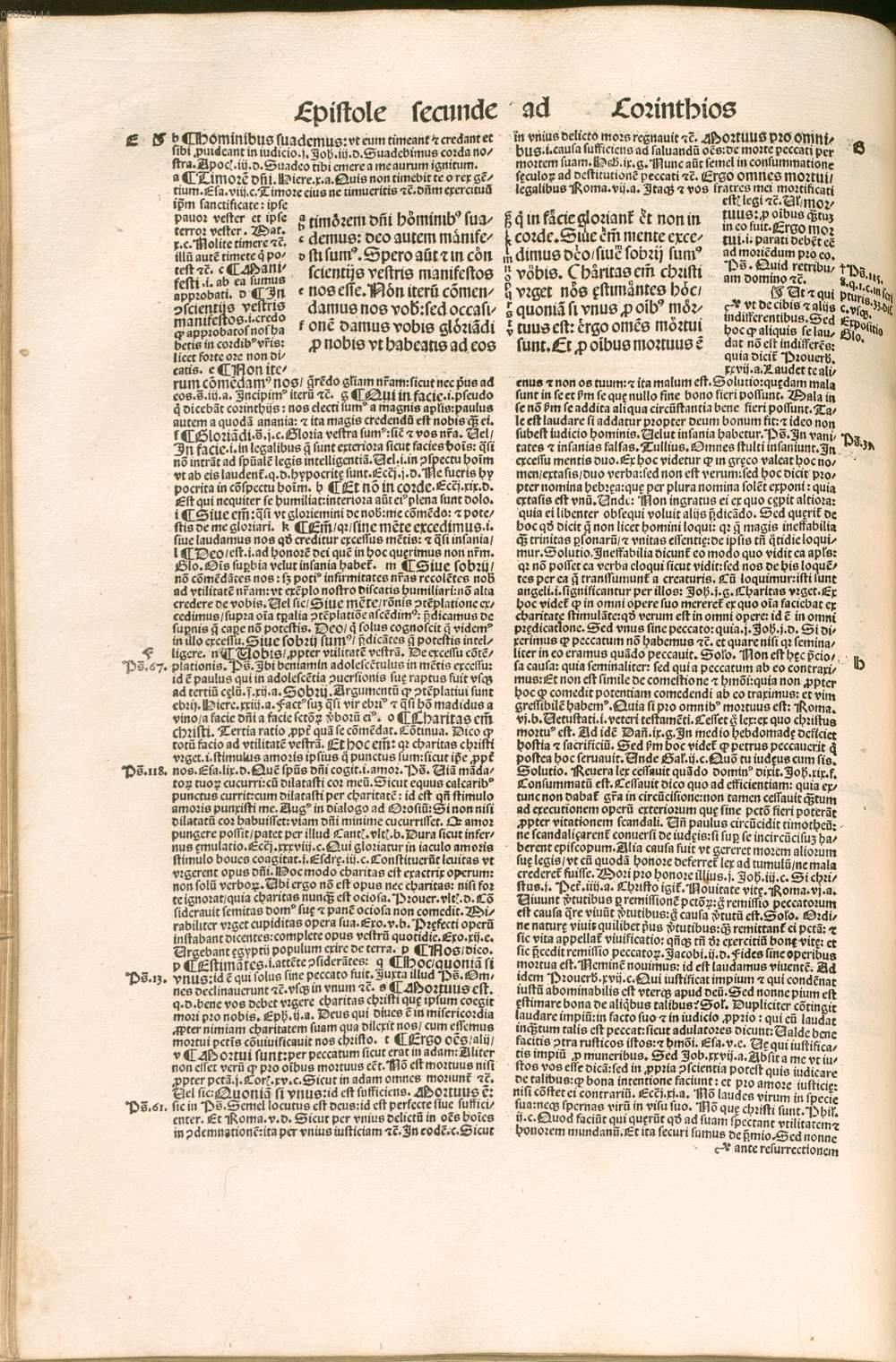 Image 00238
