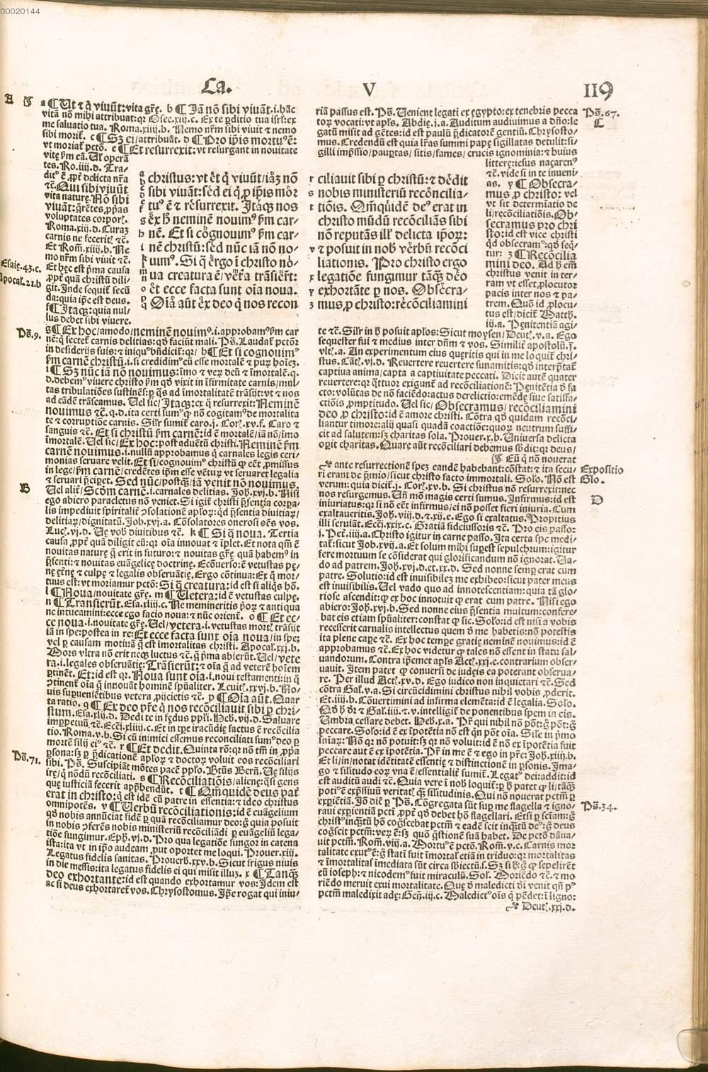 Image 00239