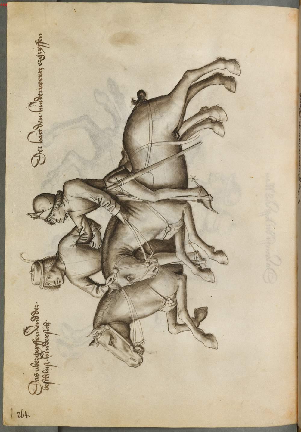 Image 00268