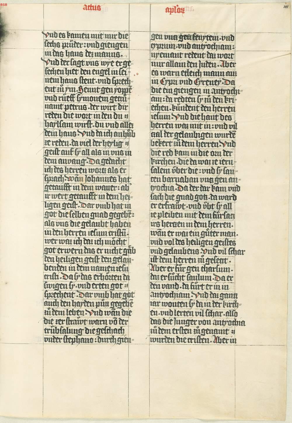 Image 00010