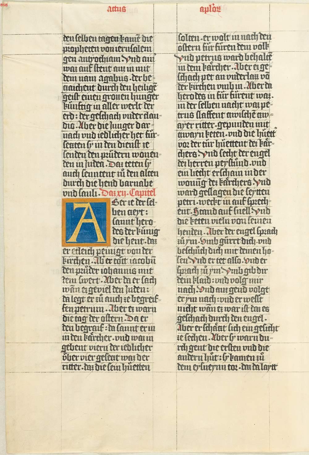 Image 00011