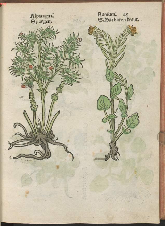 Image 00066