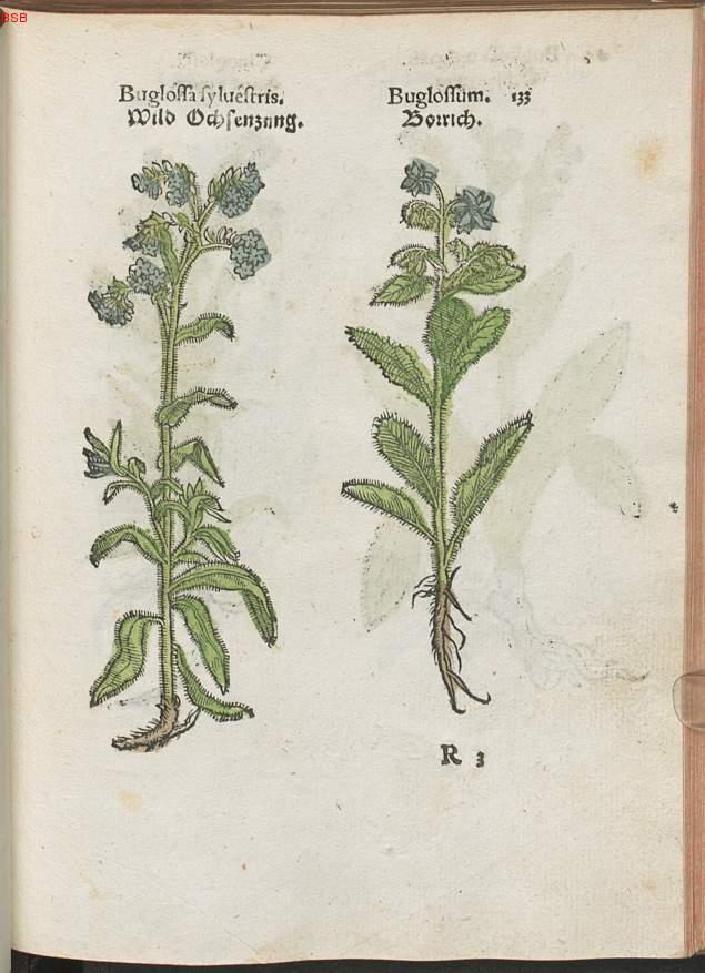 Image 00154