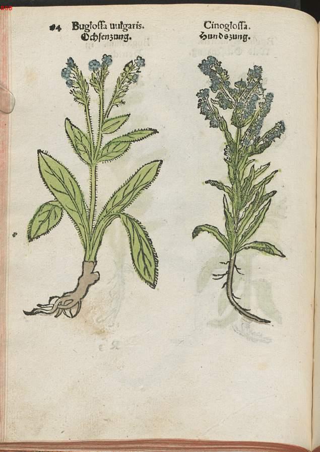 Image 00155