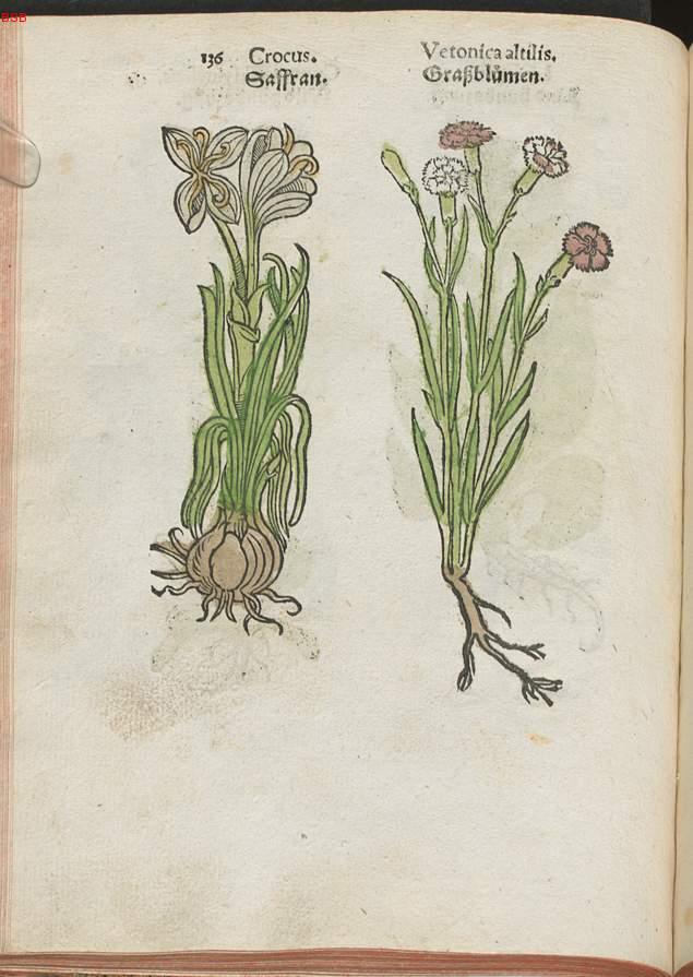 Image 00157