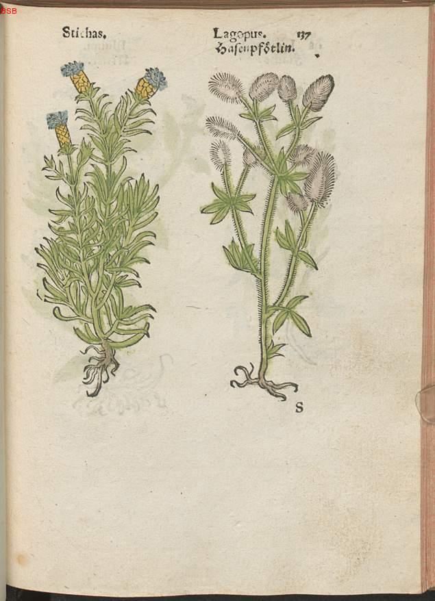 Image 00158