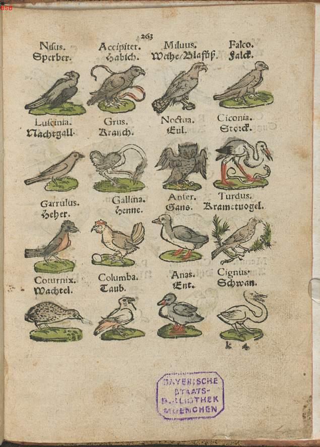 Image 00282
