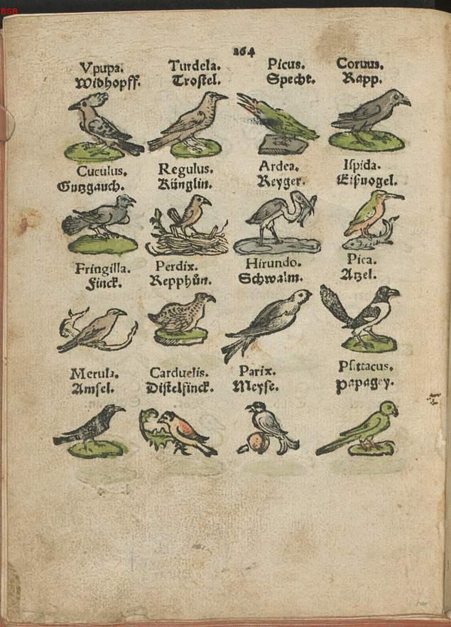 Image 00283