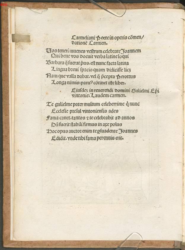 Image 00007