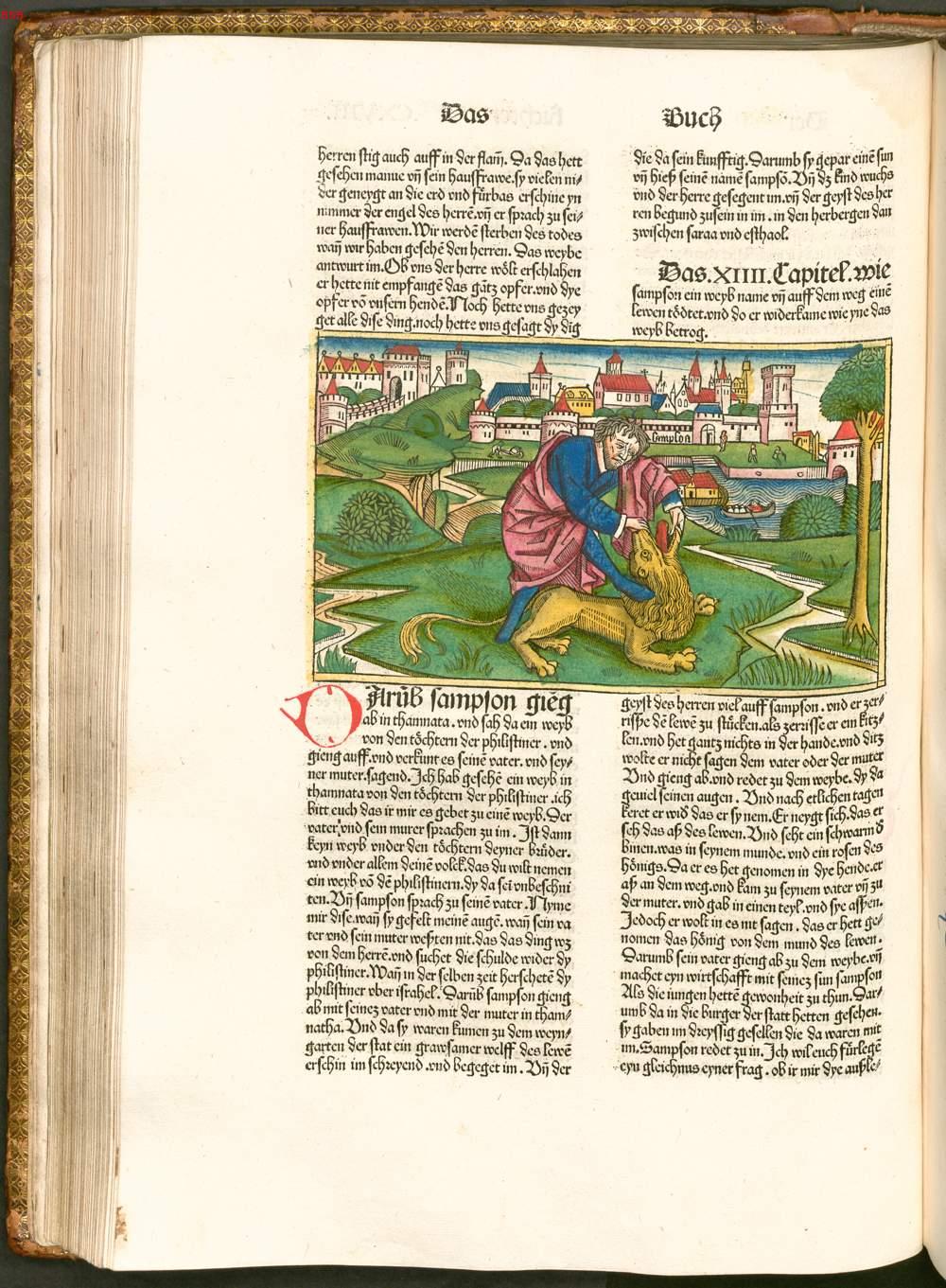 Image 00246