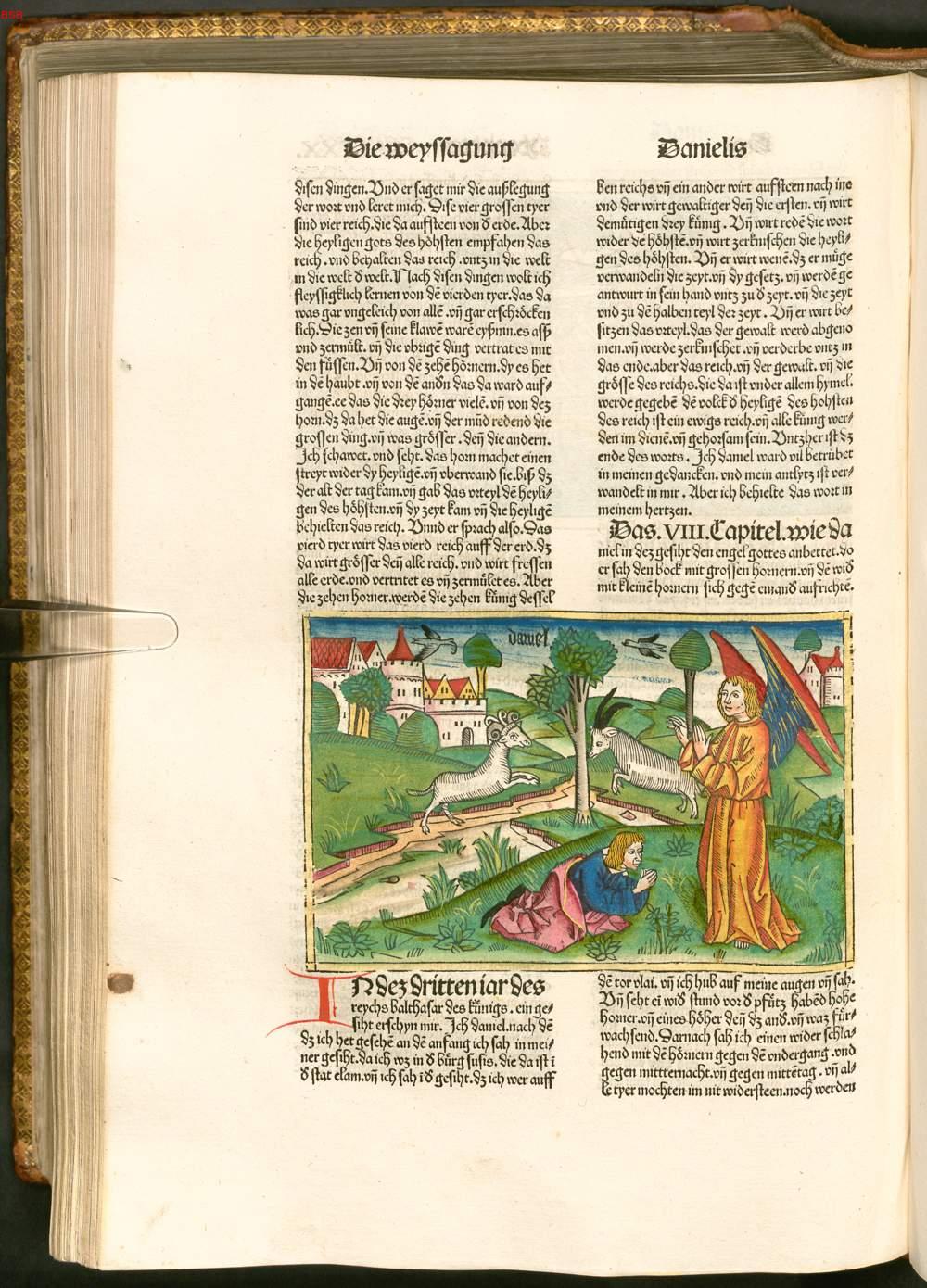 Image 00852