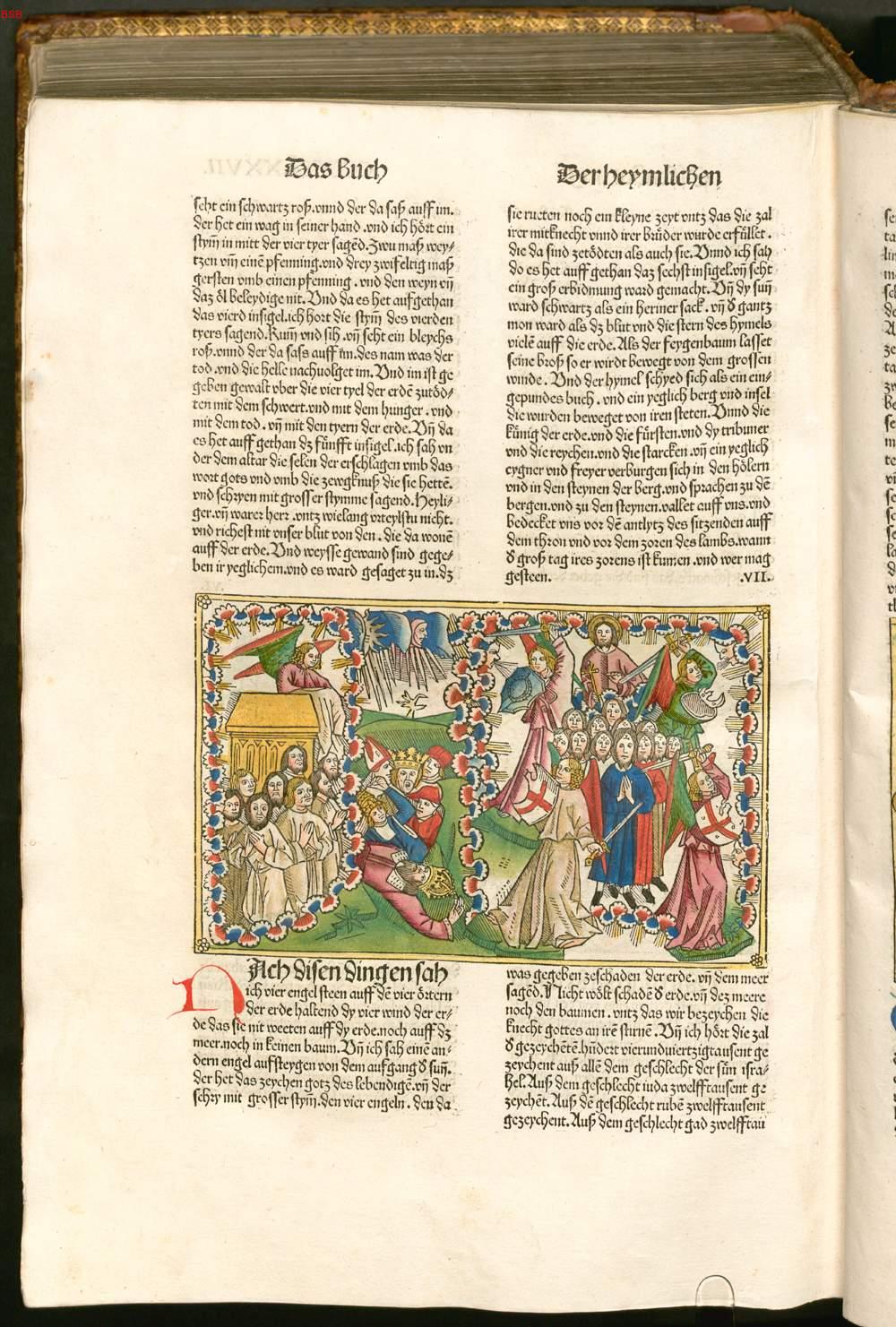 Image 01166