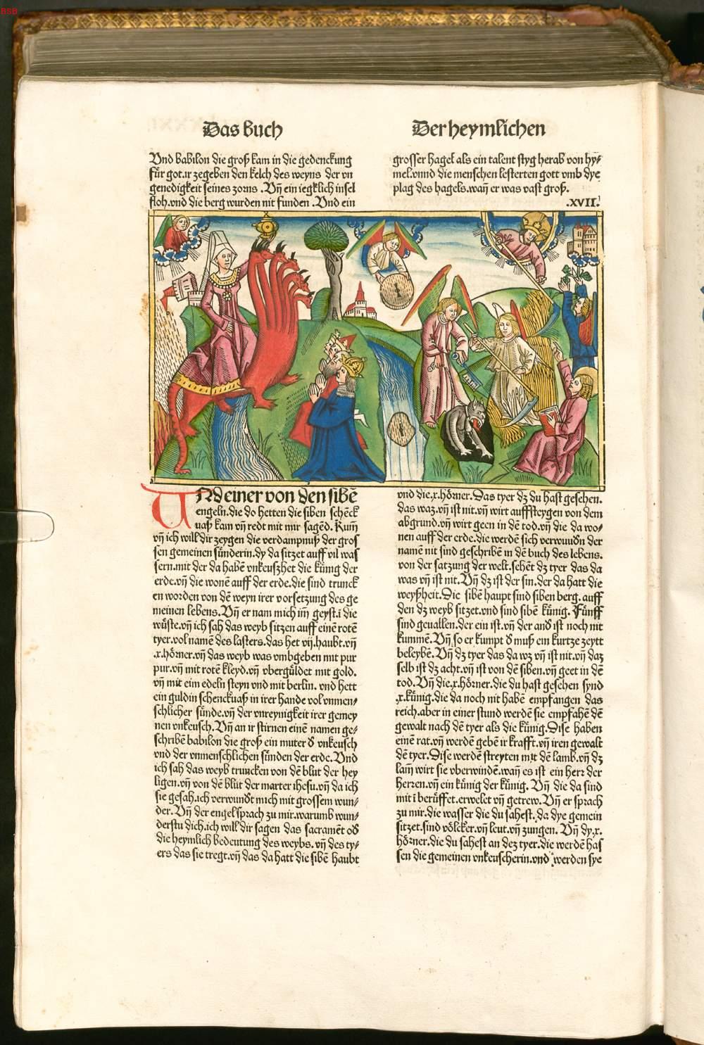 Image 01174