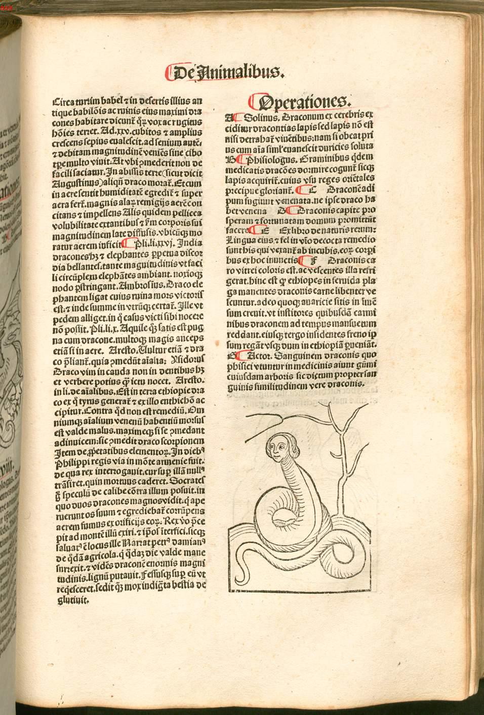 Image 00540