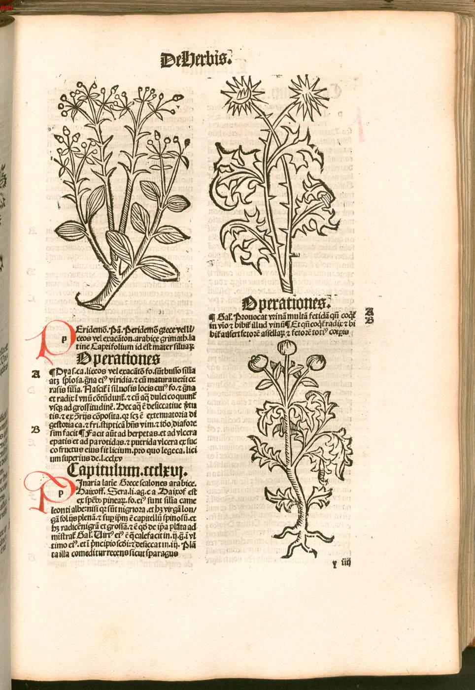 Image 00281