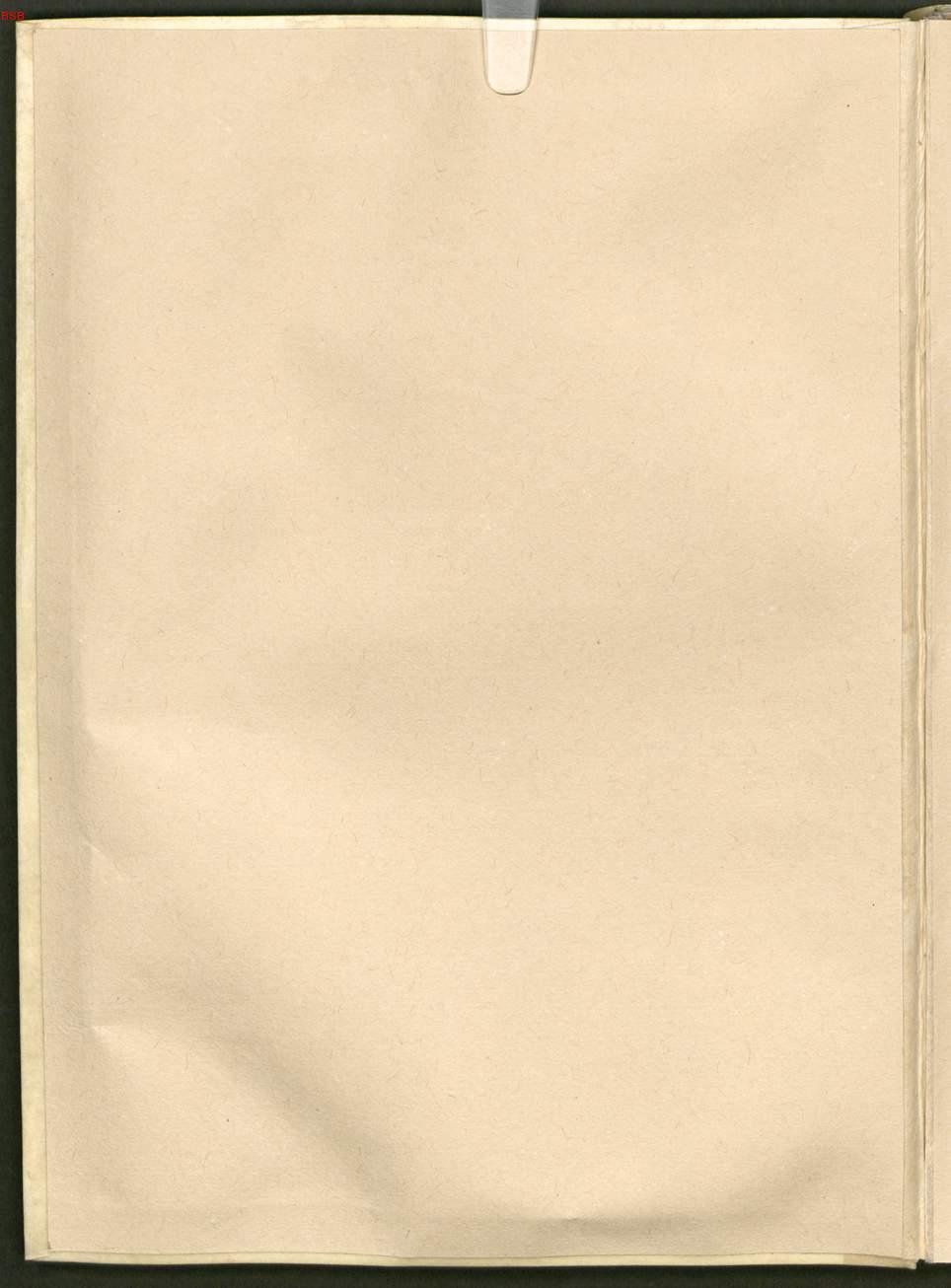 Image 00002