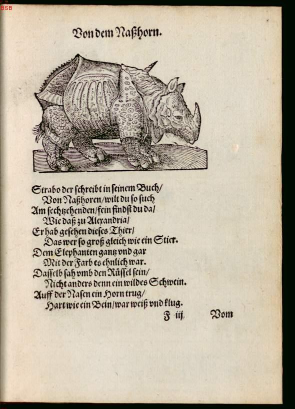 Image 00049