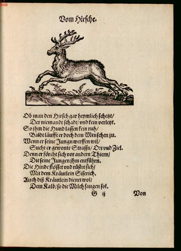 Image 00055