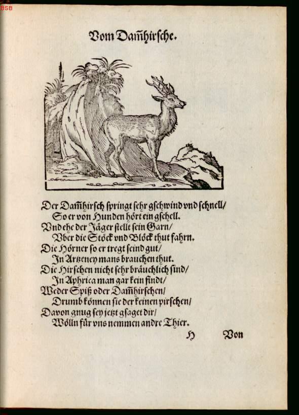 Image 00061
