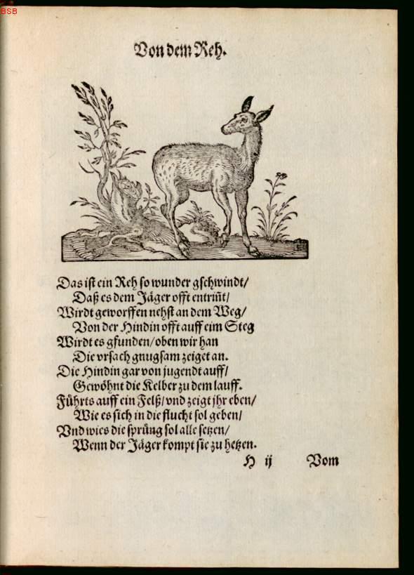 Image 00063