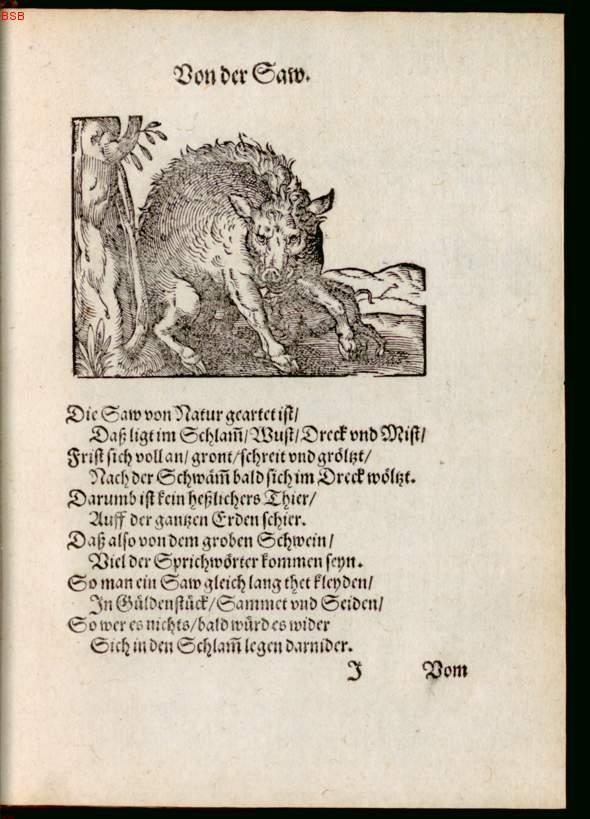 Image 00069