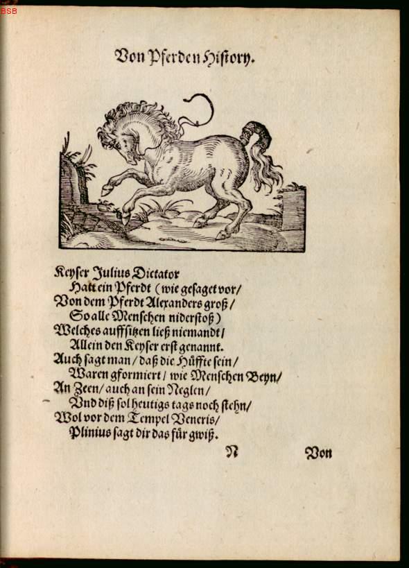 Image 00101