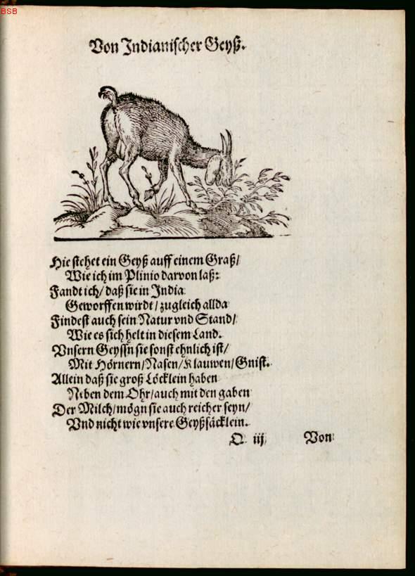 Image 00129