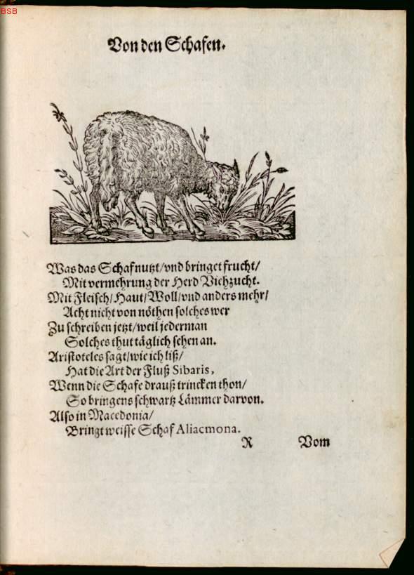 Image 00133