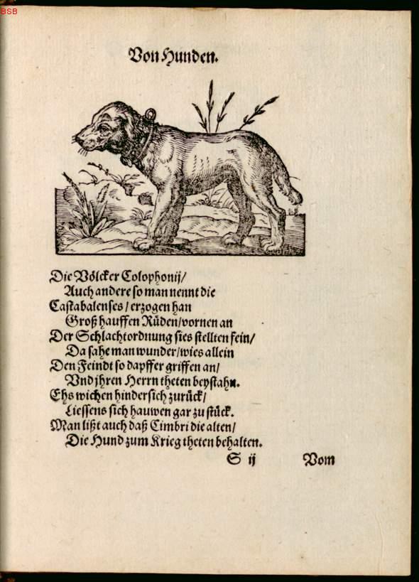 Image 00143
