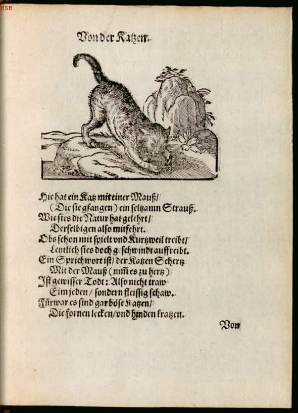 Image 00155