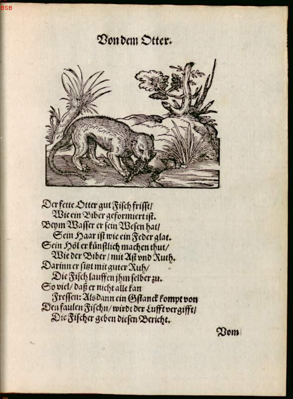 Image 00179