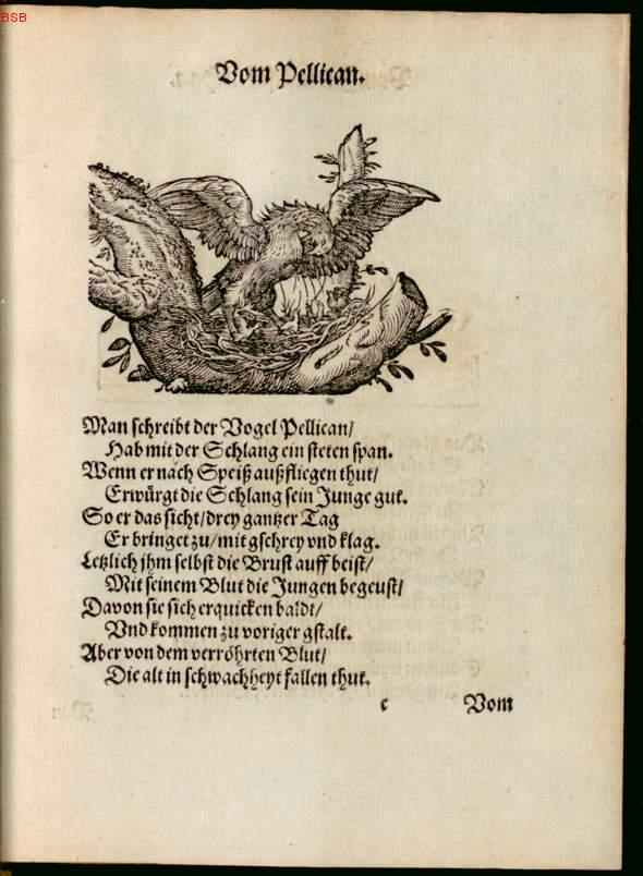 Image 00205