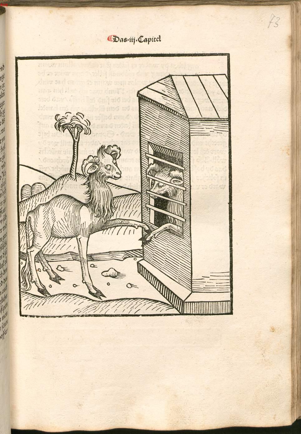 Image 00147