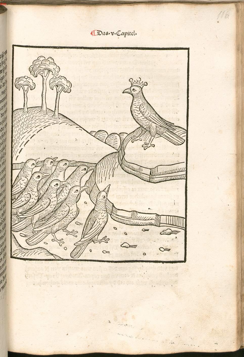 Image 00213