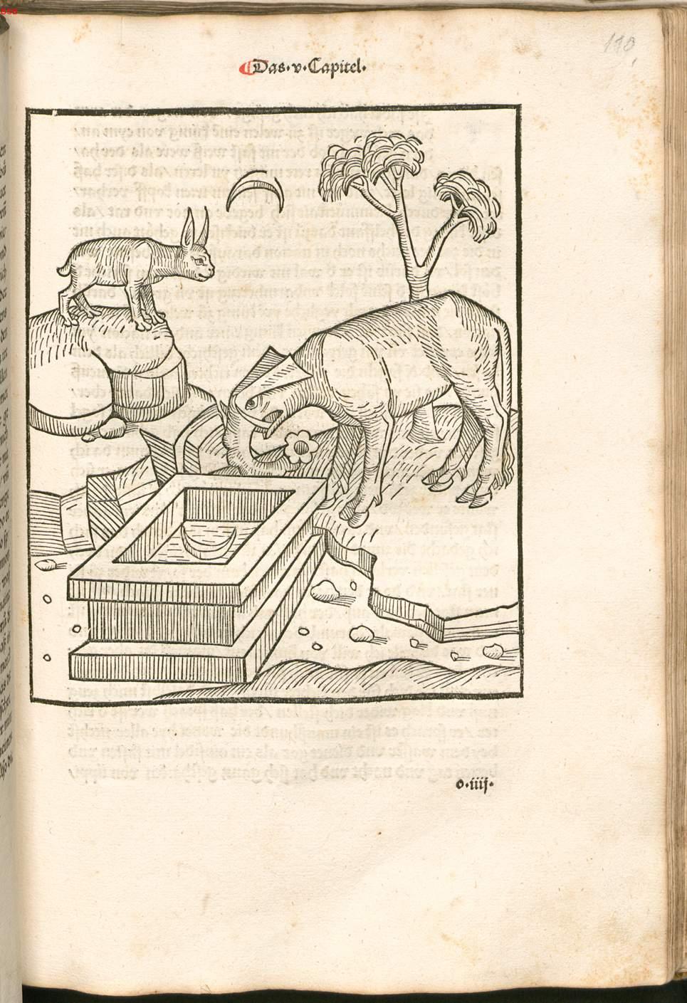 Image 00221