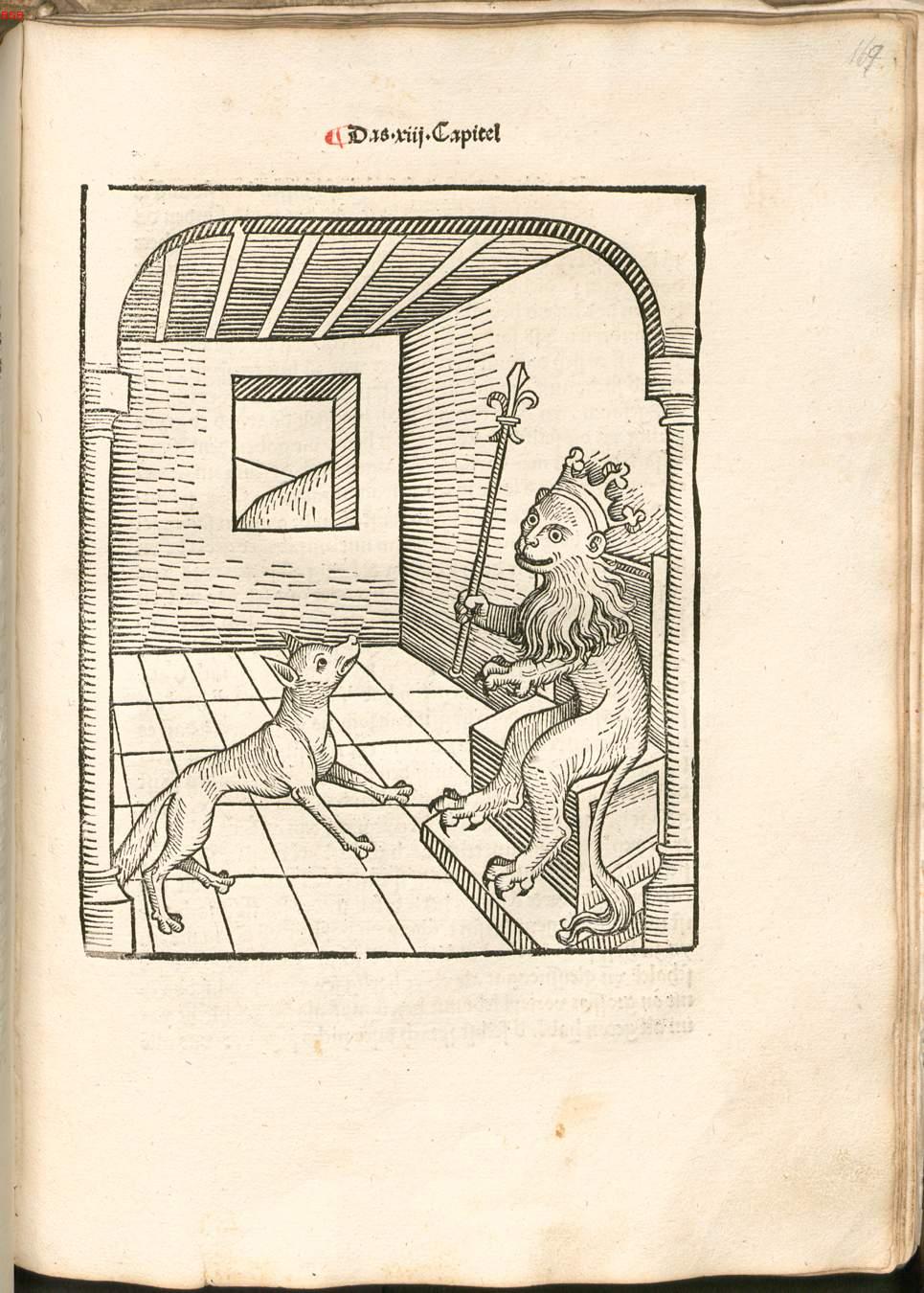 Image 00339