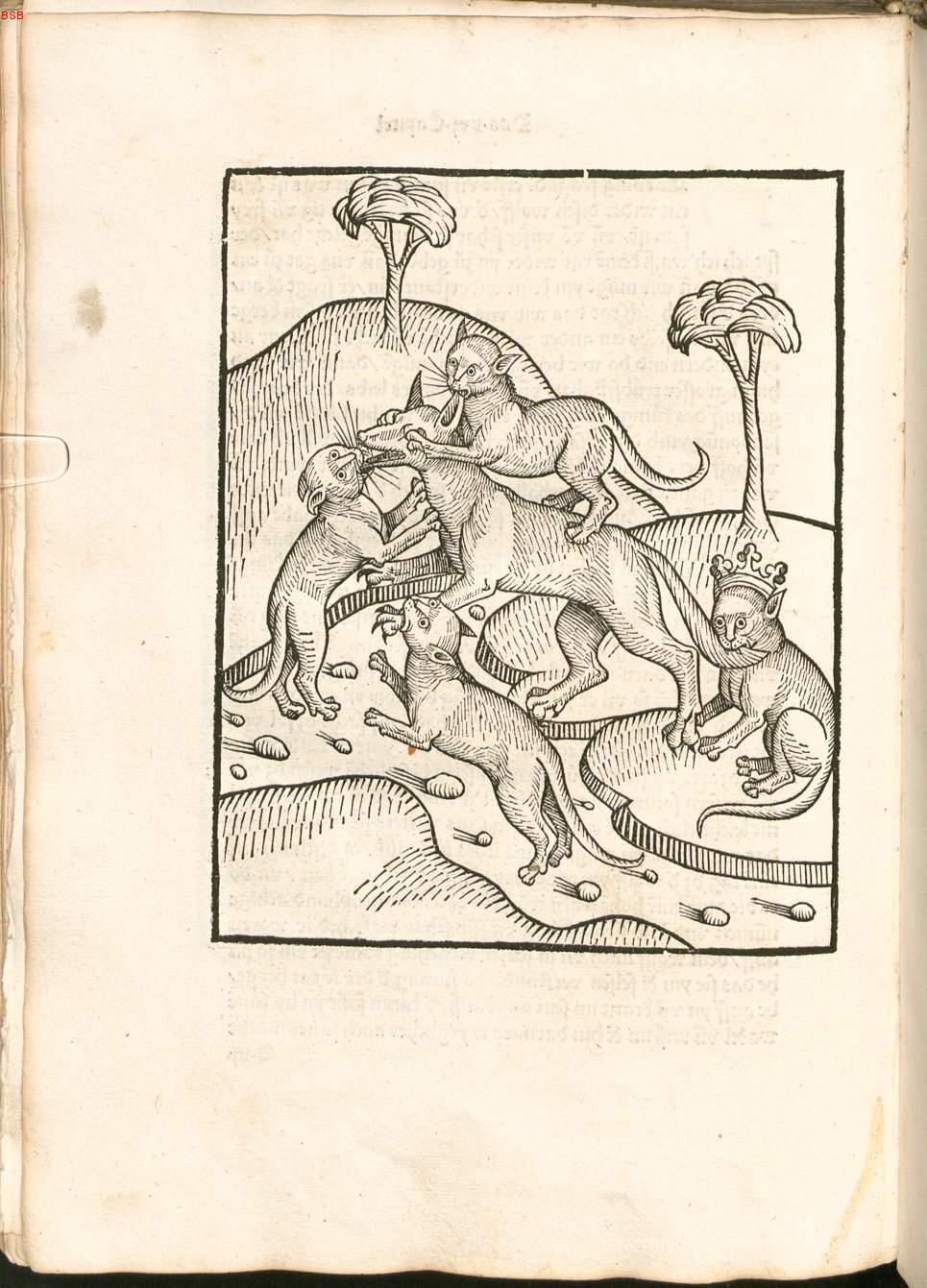 Image 00380