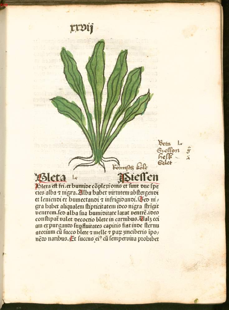 Image 00066