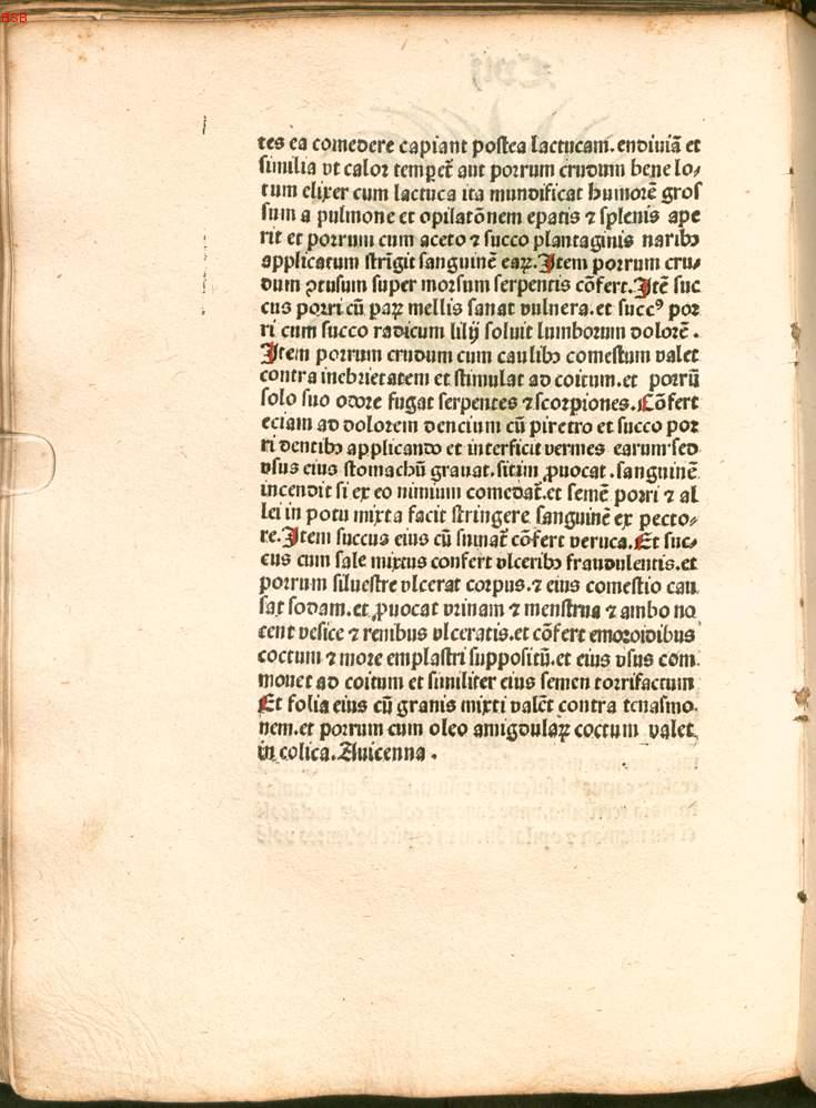 Image 00227