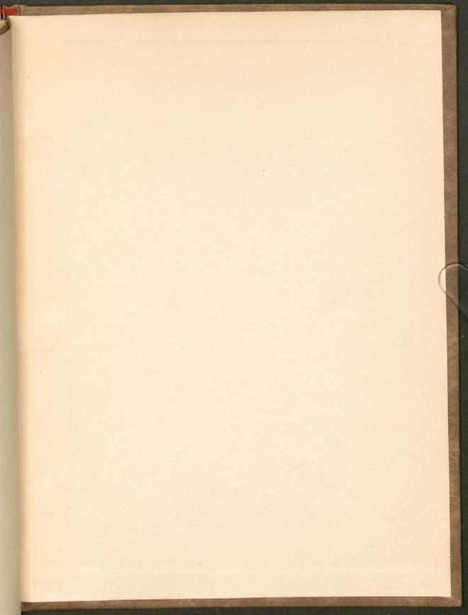 Image 00020