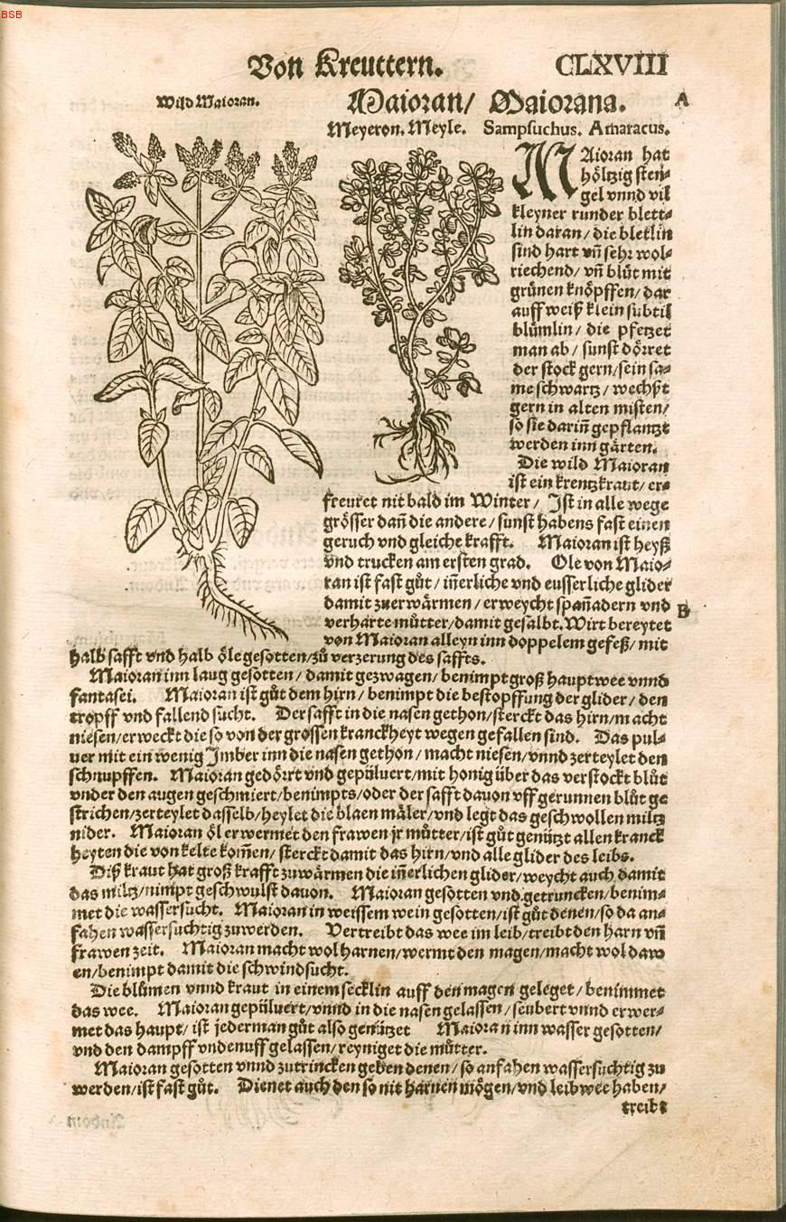 Image 00373