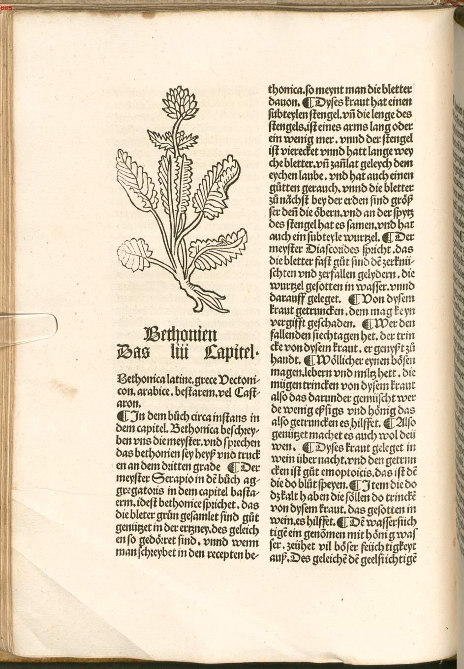 Image 00091