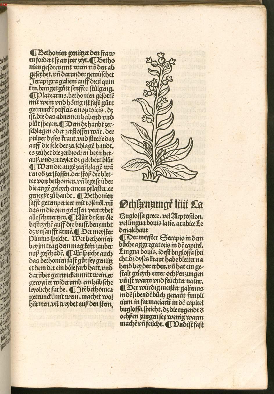 Image 00092