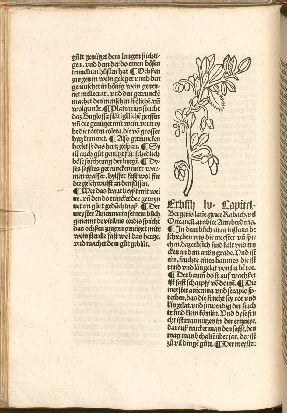 Image 00093