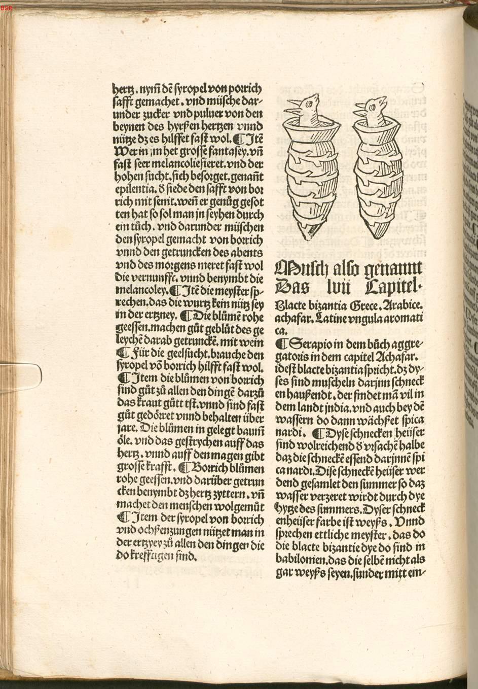 Image 00095
