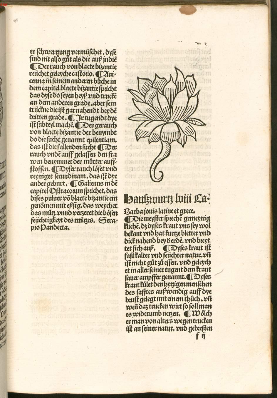 Image 00096