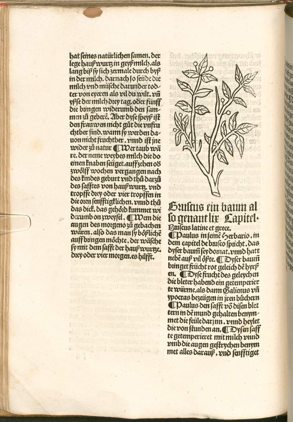 Image 00097