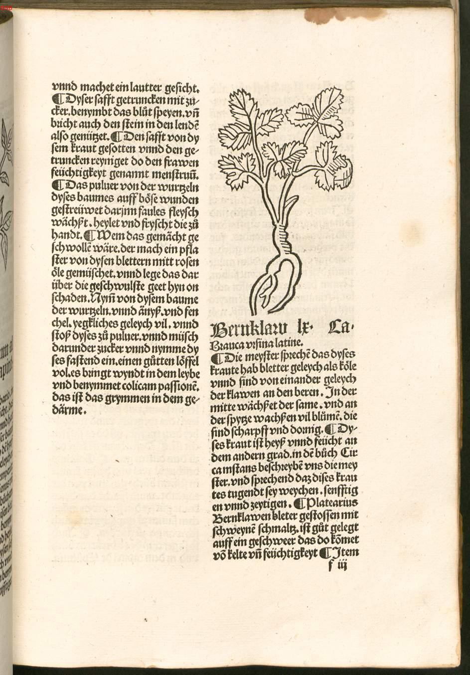 Image 00098