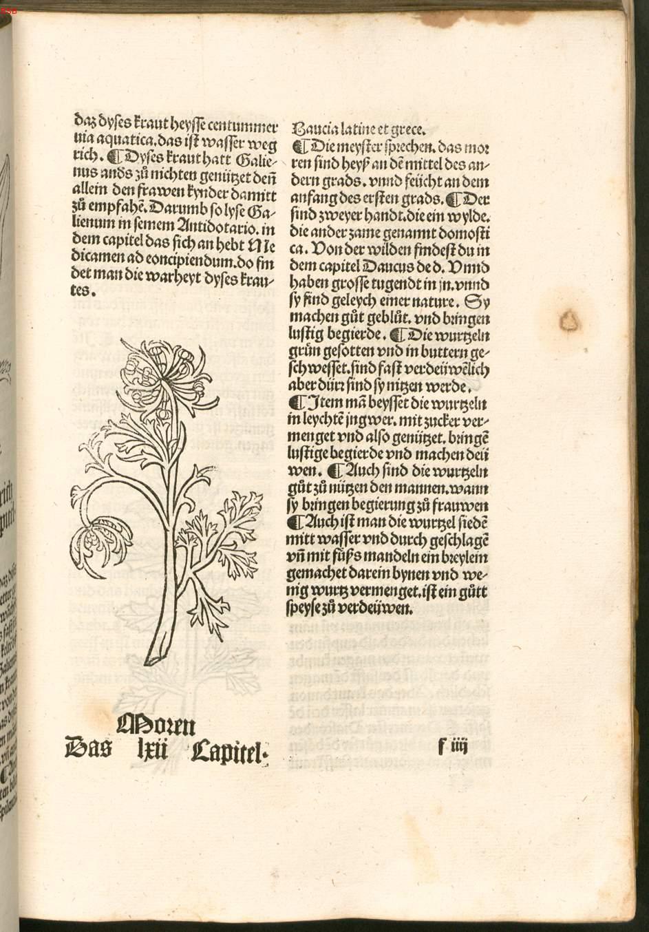 Image 00100